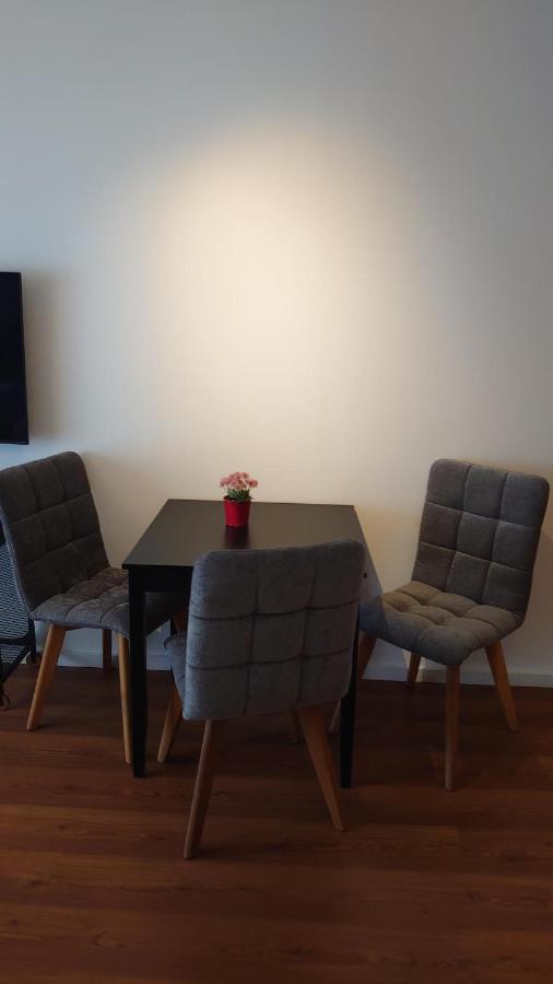 Maxim Apartments 美因茨 外观 照片