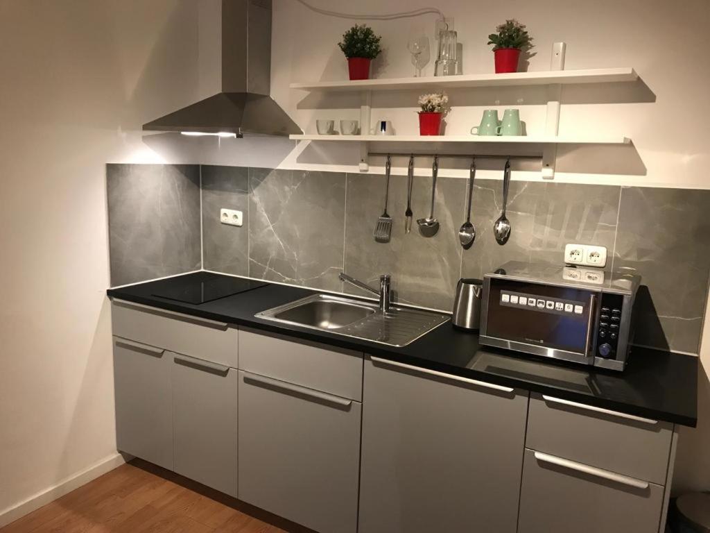 Maxim Apartments 美因茨 外观 照片
