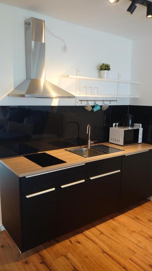 Maxim Apartments 美因茨 外观 照片