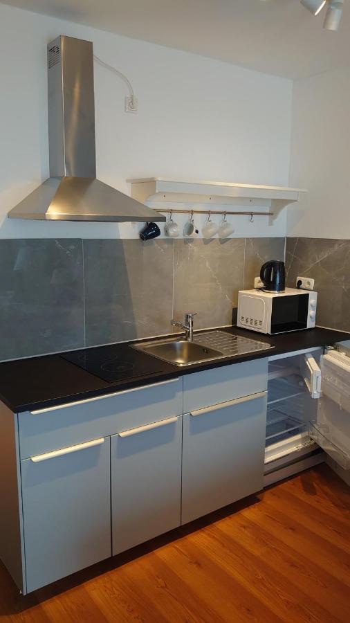 Maxim Apartments 美因茨 外观 照片